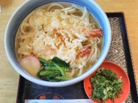天ぷらうどん 2017/03/09 23:25:21