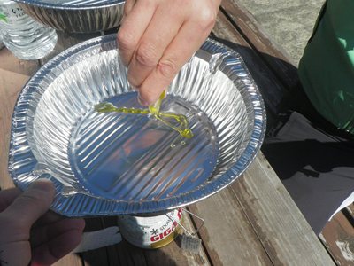 ４０歳からの山歩き（笑）　小笠山