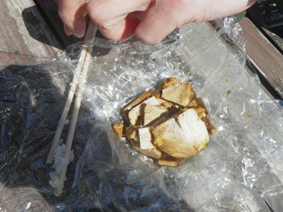 ４０歳からの山歩き（笑）　小笠山