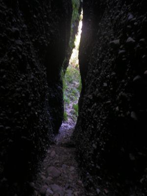 ４０歳からの山歩き（笑）　小笠山