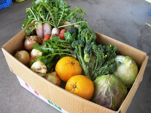 野菜販売のご案内