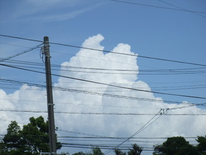 入道雲