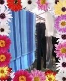 晴れの日は