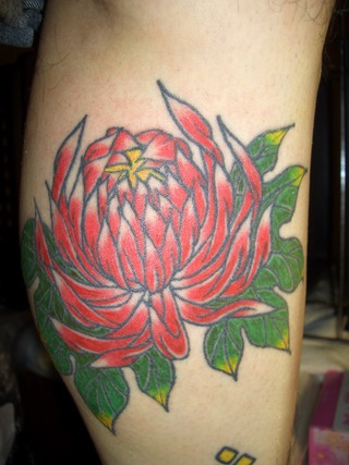 菊