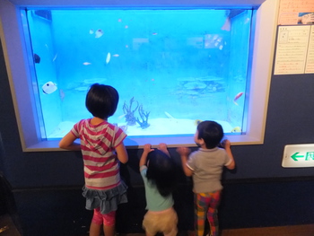 竹島水族館