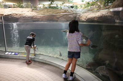 赤塚山公園 ぎよぎょランド