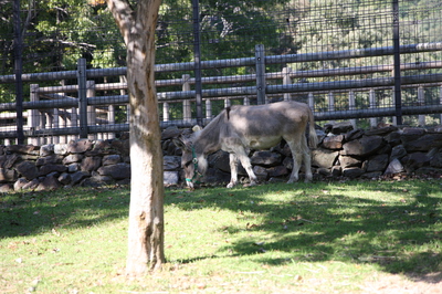 赤塚山公園 ぎよぎょランド