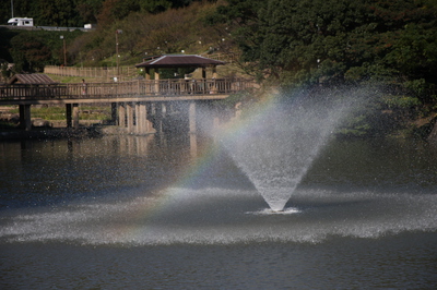 赤塚山公園 ぎよぎょランド