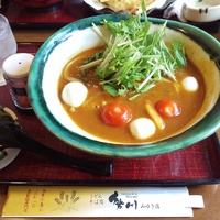 豊橋カレーうどん