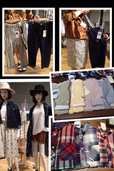 ☆　イルミネーション＆展示会レポート　☆