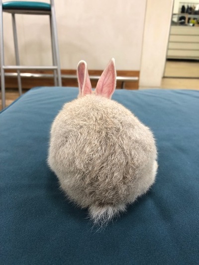 ☆　ｓｔｏｌａ　大人気女子力高めなあの・・・　☆