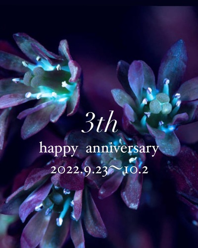 3th happy anniversary