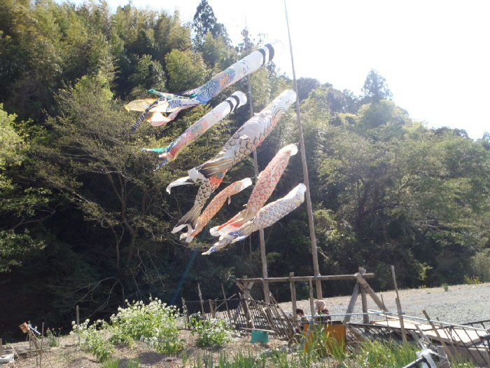 いだいら観音の里の「空高く鯉のぼり」