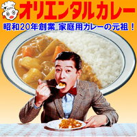 オリエンタルカレー 2025/04/10 11:37:53
