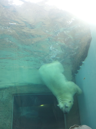 日本平動物園