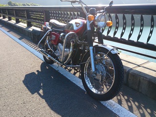 今日も懲りずに。。。