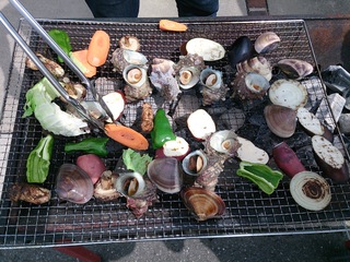 BBQ!!!