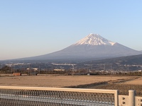 新年！ 2019/01/08 16:23:29