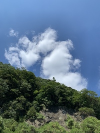 夏の思ひで… 2019/08/19 16:26:20