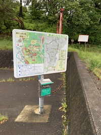 ハイキングウォーキング 2019/06/17 00:37:36