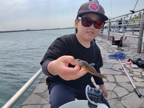 アジングで