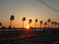 5月3日！！