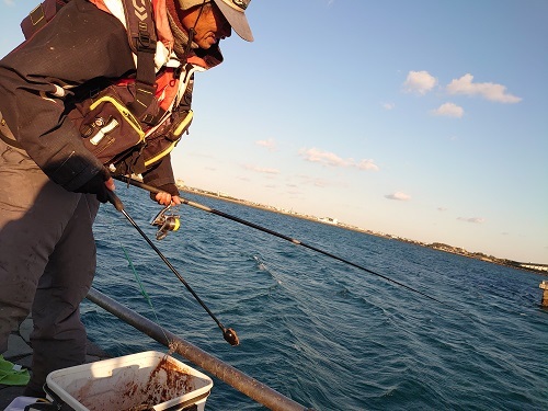 でた 黒 これこそ冬の海釣公園 今切ショップ 湖西市の釣具店