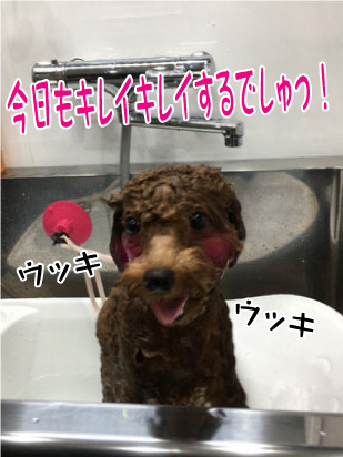 さくらちゃん☺