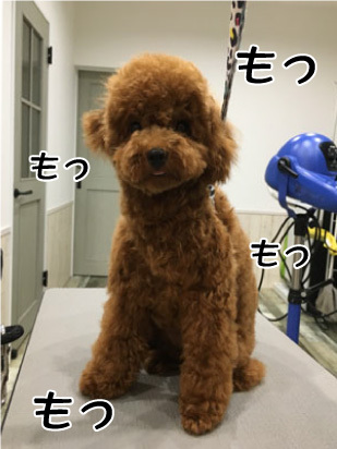 さくらちゃん☺