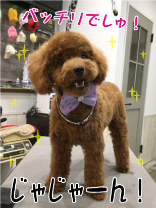 さくらちゃん☺