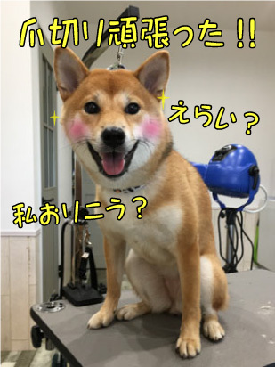 ななみちゃん☺