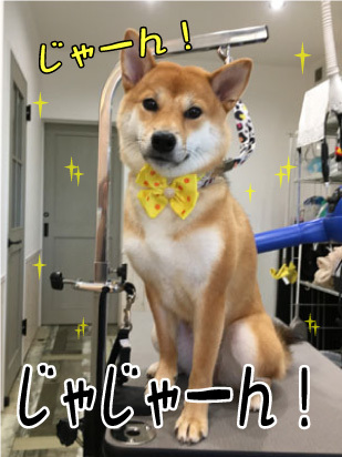 ななみちゃん☺