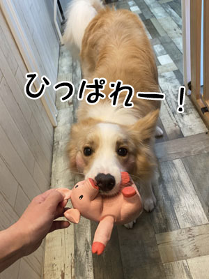 銀太君☺