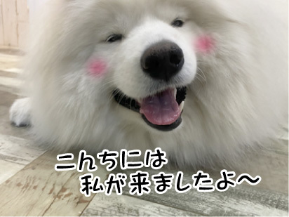 さくらちゃん☺