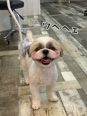 チーズ君☺