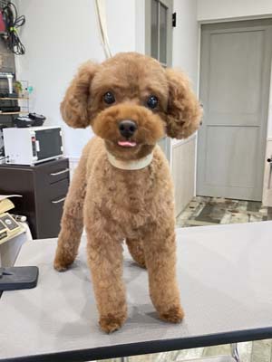 さくらちゃん☺