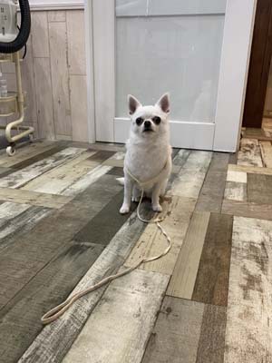 Nicoちゃん☺