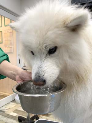 さくらちゃん☺