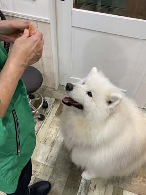 さくらちゃん☺
