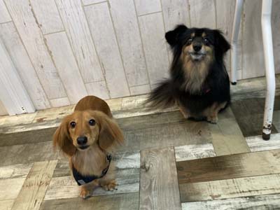 むぅちゃん＆めめ君☺