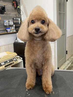 ミック君☺