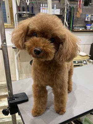 さくらちゃん☺