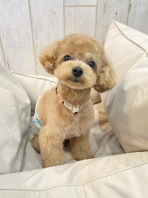 そら君☺