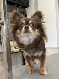 メイちゃん☺