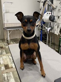 ルビーちゃん☺