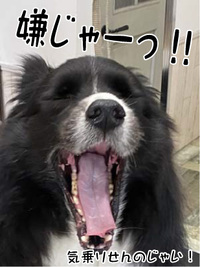 ボク君☺