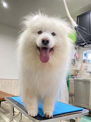 さくらちゃん☺