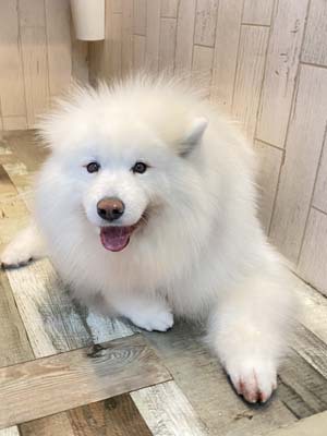 さくらちゃん☺