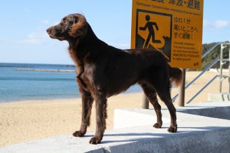 本日も。。（笑