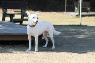 同時に。。。